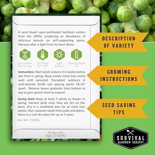Brussels Sprouts Seeds 3 Variety Pack for Planting - Survival Garden Seeds - Image 2