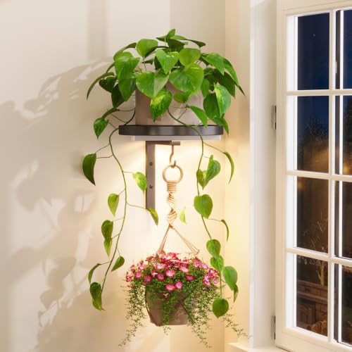 Plant Wall Hanger with Grow Light for Indoor, Metal Hook, Black by iDavosicly