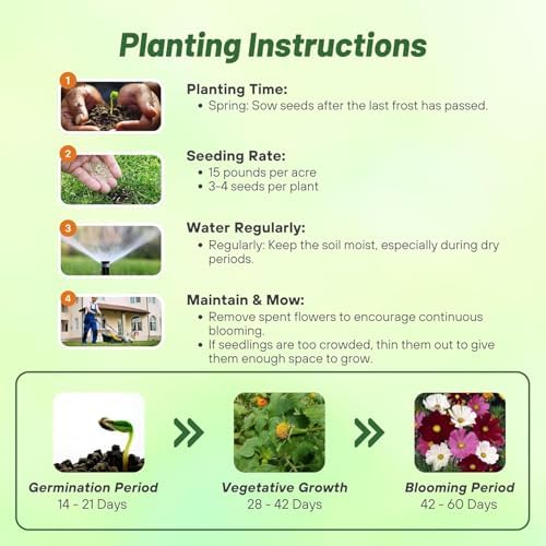 Outsidepride Sensation Mix Cosmos Bipinnatus Seeds - 1000pcs Annual, Drought-Tolerant, Self-Sowing, Mixed Flower Seeds for Planting Outdoors, Easy-Grow Pollinator Garden & Cut Flowers (AAS Winner) - Image 5