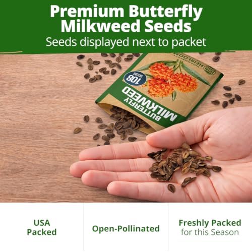 HOME GROWN Butterfly Milkweed Seeds for Planting, 2 Pack,Asclepias tuberosa - Image 7