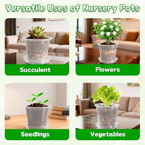 3/4/5/6/7 Inch Clear Nursery Pots with Drainage Holes, Saucers, Plant Tags - Image 7