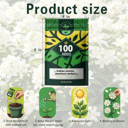 Arabian Jasmine Seeds, Fragrant Patio/Indoor Shrub, Perennial Flower Seeds - Image 7