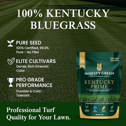 Kentucky Bluegrass Seed Blend, 3 lb Bag - Image 2