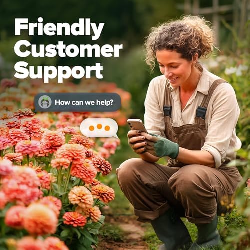 HOME GROWN Zinnia Seeds, Coral, 300 Seeds, Zinnia elegans - Image 7
