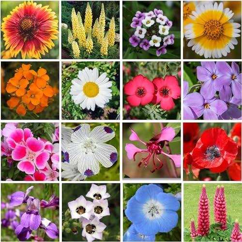 Geva Grow on the Go Seed Shaker - Northwest Wildflower Seeds Regional Mix - Organic, Non-GMO - 100% Pure Seed - 20 Different Wildflowers Seeds of Annual and Perennial, 8oz - Image 4