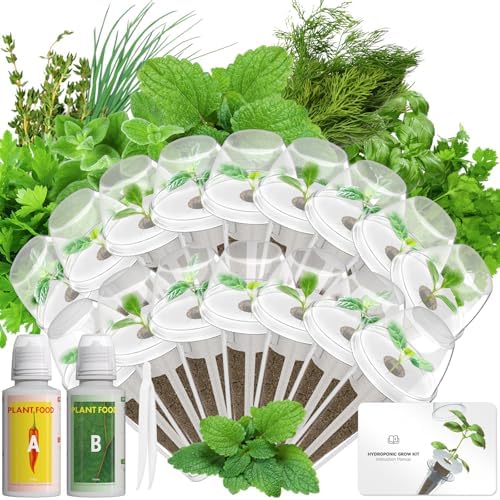 LYKOCLEAN Herb Seed Pod Kit Compatible with AeroGarden Hydroponics Growing System, Complete Indoor Gardening Supply (Herb, 16-pods) by LYKO