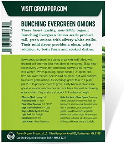 Organic Onion Seeds (Bunching Evergreen) - Approx 200 Seeds - USDA Organic, Non-GMO, Open Pollinated, Heirloom, USA Origin - Image 4