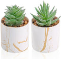 Der Rose 2 Pack Mini Fake Succulents Gold Accent Pots for Office Desk Decor by DerRose