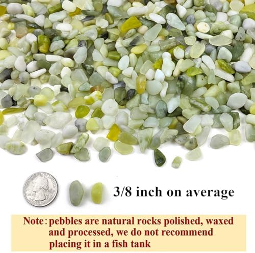 FANTIAN 10 lbs Pebbles for Plants, 3/8 Inch Green Rocks Pea Gravel - Image 2