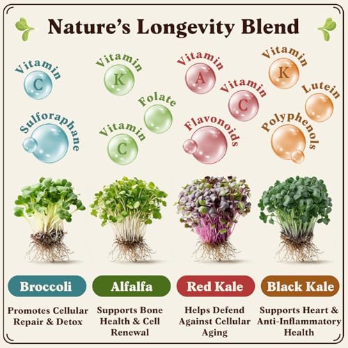 Seedboy Organic Non-GMO Sprouting Seeds (Longevity Blend) - Image 2