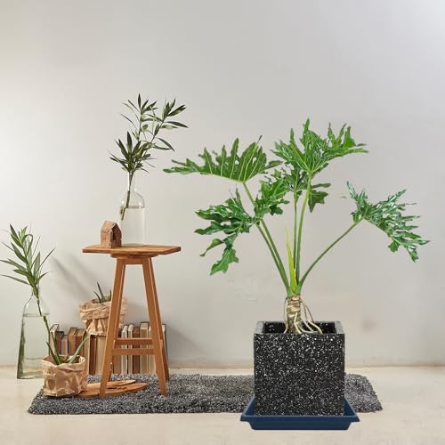 Square Plant Saucer 10 Inch 4 Pack, Plant Drip Trays and Flower Pot Saucers，Doubles Plant Water Catcher Tray, Plant Trays for Indoors No Holes, Plant Drainage Tray Saucers for Potted Plants - Image 6