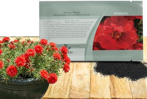 Outsidepride Red Moss Rose Seeds - 5000 Pcs Annual, Drought & Heat Tolerant, Pollinator Friendly Ground Cover Seeds for Planting w/Vibrant Blooms & Succulent Foliage, Ideal for Xeriscaping by Outsidepride