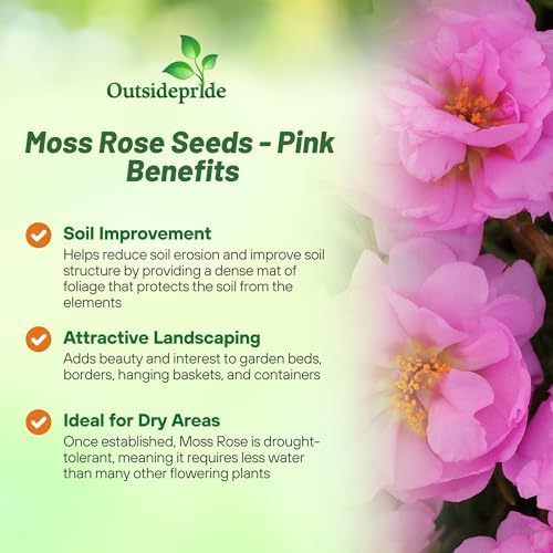 Outsidepride Pink Moss Rose Seeds - 5000 Pcs Annual, Drought & Heat Tolerant, Pollinator Friendly Ground Cover Seeds for Planting w/Vibrant Blooms & Succulent Foliage, Ideal for Xeriscaping - Image 3