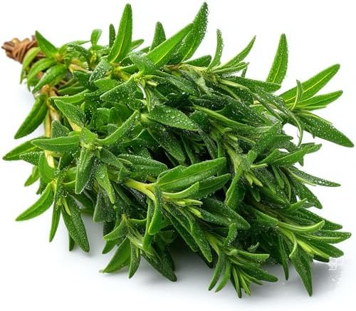 1000 Summer Savory Seeds for Planting - Peppery Heirloom Herb, Herbes de Provence, Non-GMO, USA Grown by RDR Seeds by RDRSeeds