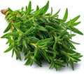 1000 Summer Savory Seeds for Planting - Peppery Heirloom Herb, Herbes de Provence, Non-GMO, USA Grown by RDR Seeds by RDRSeeds