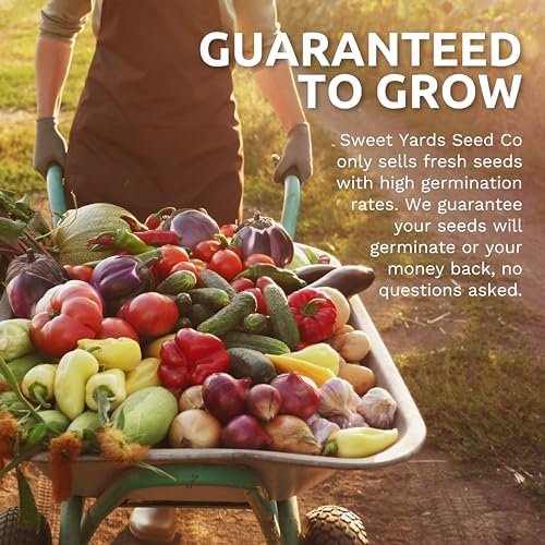 Organic Italian Garden Seeds Variety Pack - 12 Individual Packs - 2026 Season - Genovese Basil, Italian Giant Parsley, Chioggia Beet & More! for Indoor & Outdoor Planting (Non-GMO, Certified Organic) - Image 7