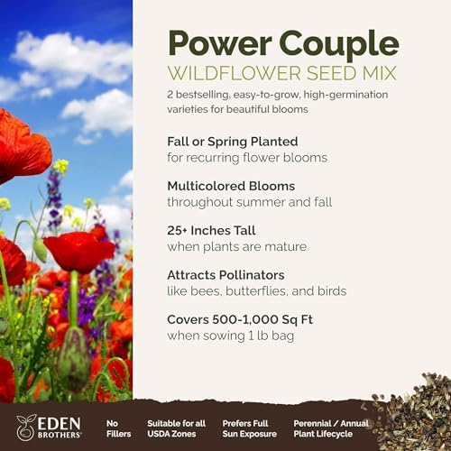 Eden Brothers Power Couple Flower Mixed Seeds for Planting, 1 lb, 480,000+ Seeds with Rocket Larkspur, Bupleurum | Attracts Pollinators, Plant in Spring or Fall, Zones 3, 4, 5, 6, 7, 8, 9, 10 - Image 2