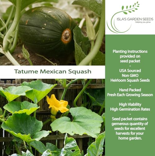 Tatume Squash Seeds (Cucurbita Pepo) – Also Known as Calabacita, Tatuma, or Mexican Round Zucchini – 30+ Non-GMO Heirloom Seeds by Isla’s Garden Seeds, Vigorous Vining Summer Variety, Heat-Tolerant - Image 3