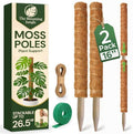 2 Pack 16" Moss Pole Monstera Plant Support - Stackable up to 26.5" by TheBloomingJungle