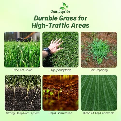 Outsidepride Combat Extreme Transition Zone Grass Seed Blend for Lawn 50 lbs - Fine, Medium Leaf Blades & Dense Turf for Sun, Shady & High Traffic Areas w/OptiGrowth Coating for Seed Enhancement - Image 2