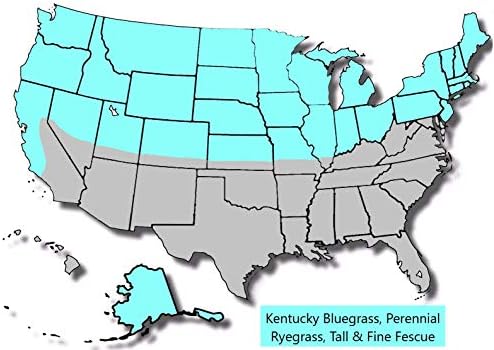 Jacklin Seed - Heisman Mix | 85% Kentucky Bluegrass, 15% Perennial Ryegrass | Certified Grass Seed (50 lbs (20,000 sq ft)) - Image 4