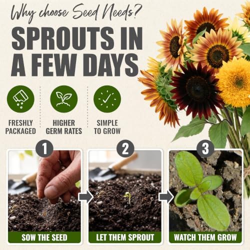 Seed Needs Sunflower Seeds Variety Pack of 6 Flowers for a Butterfly Garden - Image 5