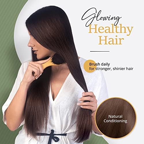 Belula Boar Bristle Hair Brush Set for Thick, Long and Curly Hair, Large - Image 4