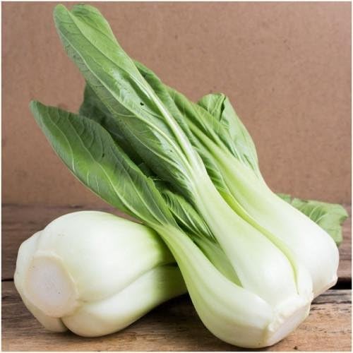 Seed Needs Pak Choy Cabbage Seeds to Plant Heirloom & Non-GMO 1 Pack - Image 2