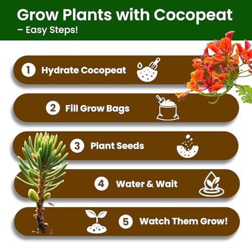 Bonsai Tree Kit for Beginners - 5 Unique Japanese Bonsai Seeds, DIY Indoor Gardening Crafts for Adults | Valentine's, Mother's Day & Birthday Gifts for Women and Men | Complete Starter Kit with Tools - Image 4