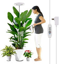 WaterRebirth PGL06 Ring Plant Grow Light, 6.3 Inch 14W Full Spectrum Grow Lamp with Timer, 10 Brightness & 3 Modes, Adjustable Height 9.5‑59 Inch for Large Potted Indoor Plants by Waterrebirth