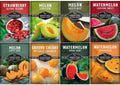 Fruit Seeds for Planting 8 Variety Pack - Non-GMO Heirloom Fruits by SurvivalGardenSeeds