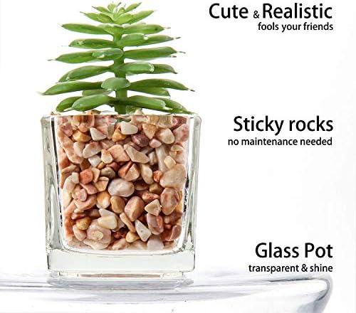 Briful Mini Fake Plants 4 Packs Succuletns Artificial Potted Plants in Cube Glass Vase Faux Succulents for Bathroom Living Room Kitchen Shelf Table Decor - Image 3