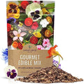 Wildflower Seeds Edible Flowers Mix - Bulk 1/4 Pound Bag Over 30,000 Open Pollinated Annual and Perennial Seeds by SweetYards