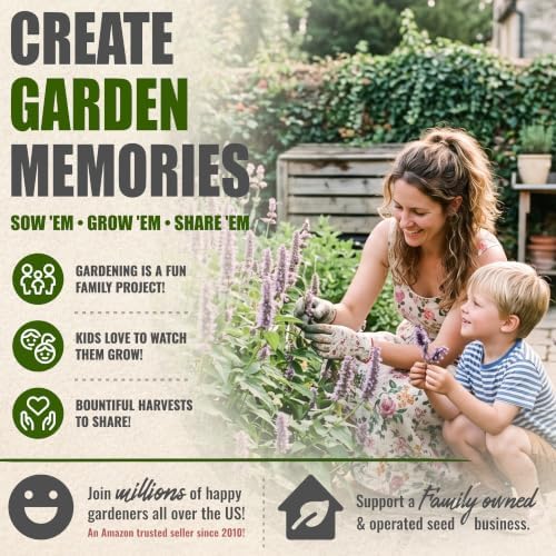 Seed Needs Anise Hyssop Seeds to Plant Non-GMO & Heirloom Herbs XL Pack - Image 6