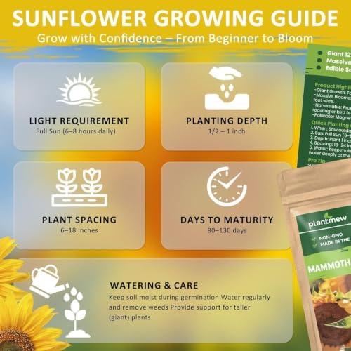 Fall Flower Seeds, 150+ Giant Mammoth Sunflower Seeds for Planting, Open Pollinated Ornamental, Easy to Grow for Garden, Outdoor Planting & Landscaping - Image 7