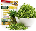 Todd's Seeds Green Pea Sprouting Seeds 1/4lb - Non-GMO Triple-Cleaned by ToddsSeeds