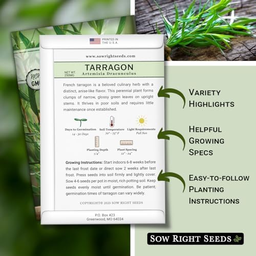 Sow Right Seeds - Tarragon Seed for Planting Your Perennial Herb Garden - Image 2