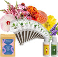 Wild Flower Seed Hydroponic Pod Kit Compatible with Aerogarden, Ahopegarden, Letpot, 7 Pods with Variety Seeds(Blush Hibiscus, Coneflower, Dahlia, Viola, Lavender, French Marigold, Snapdragon) by inbloomgarden