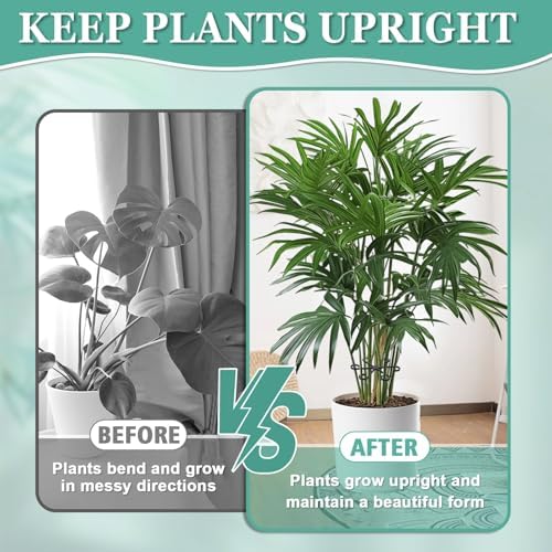 16pcs Plant Stem Support, Monstera Plant Support for Indoor Plants - Image 4