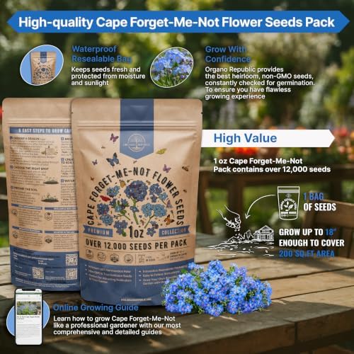 Cape Forget-Me-Not Seeds 1oz - Over 12,000 Non-GMO Heirloom Forget Me Not Seeds for Planting, Annual Flowers in Individual Seed Packet, Planting Home Garden Indoor & Outdoor Gardening - Image 2