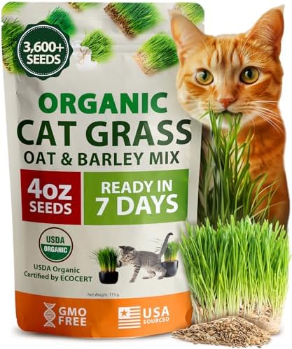HOME GROWN Organic Cat Grass Seed Mix Oat & Barley 4 oz Easy Indoor Planter by HOMEGROWN