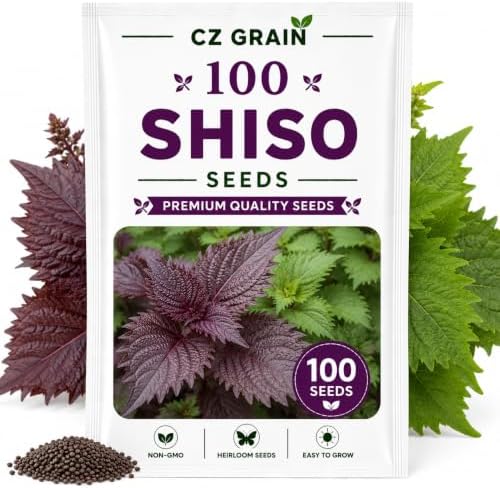 100 Shiso Seeds for Planting | Perilla Frutescens Japanese Herb Seeds by CZGrain