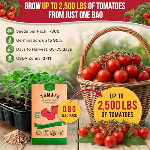 Tomato Large Cherry Seeds Pack 0.8 G - Over 300 of Non-GMO Heirloom Tomato Seeds for Planting Vegetables in Individual Seed Packet, Vegetable Seeds for Planting Home Garden Indoor & Outdoor Gardening - Image 4