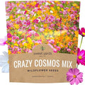 Cosmos Seeds Wildflower Mixture - Bulk 1 Ounce Packet - Over 5,000 Seeds - Pink, Yellow, Orange, Red, Purple and White Mixed Species! by SweetYards