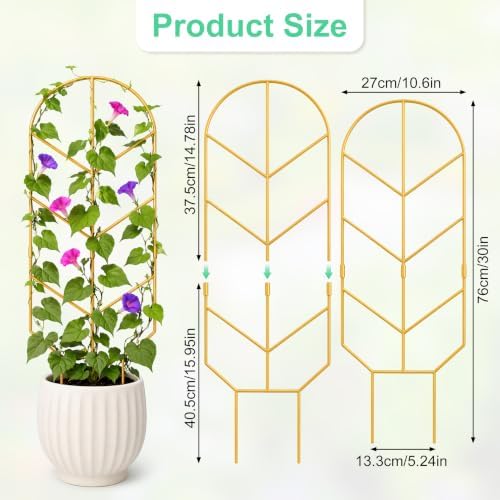 2 Pack Large Climbing Plant Trellis, 30'' Tall Garden Support for Potted Plants Indoor, Modern Decorative Trellis for Crawling Plants Jasmine, Wisteria and Lilac Vines (Gold) - Image 2