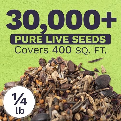 Bee Friendly Wildflower Seed Mix - Bulk 1/4 Pound Bag - Over 30,000 Open Pollinated Seeds - 100% Pure Live Seed - Save The Bees! - Image 3