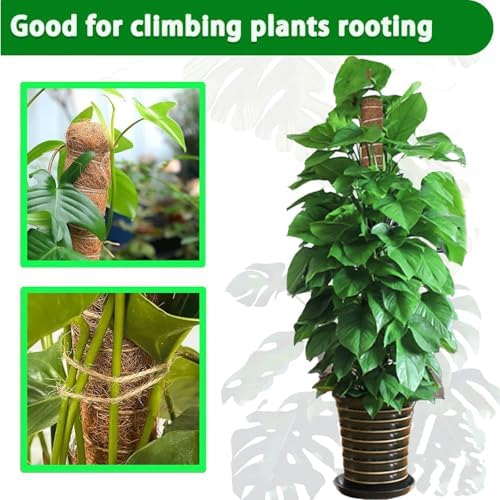 Moss Pole, 2Pack 21 Inch Plant Support Stakes for Indoor Plants, Monstera Plant Support Stakes, 37 Inch Tall Coir Plant Pole Sticks for Potted Plants, Pothos, Philodendron - Image 6