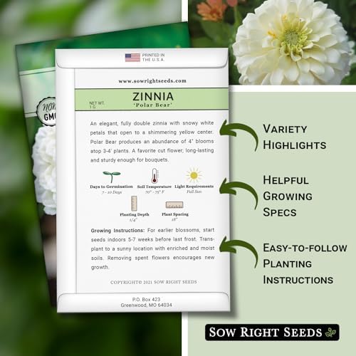 Sow Right Seeds-Zinnia Polar Bear Seed for Planting White Flower Garden 3pk - Image 2
