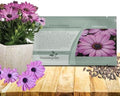 Outsidepride Lavender Osteospermum African Daisy Seeds - 20 Pcs. Perennial Flower Seeds for Planting Outdoors with Long-Lasting Blooms, Drought-Tolerant, Easy to Grow for Sunny Gardens & Borders by Outsidepride