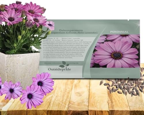 Outsidepride Lavender Osteospermum African Daisy Seeds - 20 Pcs. Perennial Flower Seeds for Planting Outdoors with Long-Lasting Blooms, Drought-Tolerant, Easy to Grow for Sunny Gardens & Borders by Outsidepride